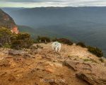 Prints - Jamison Valley