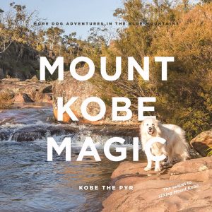 Book - Mount Kobe Magic