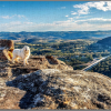 Jigsaw - Lithgow - Image 3