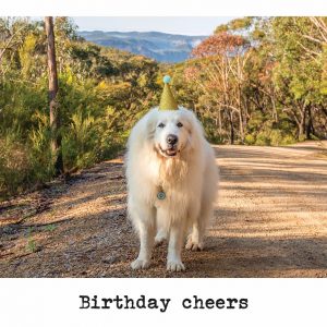 Cards - Birthday