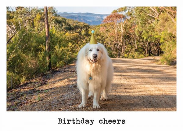 Cards - Birthday