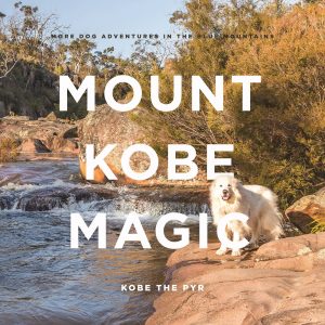 Book - Mount Kobe Magic (USA)