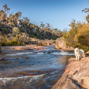 Custom cover e-print