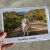 Cards - Birthday - Image 2