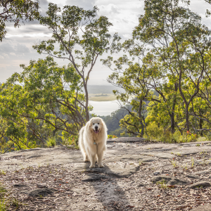 Warrimoo & Sun Valley