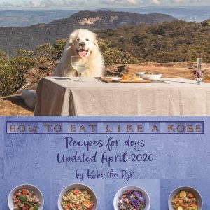 E-book - How To Eat Like A Kobe (Updated April 2026)